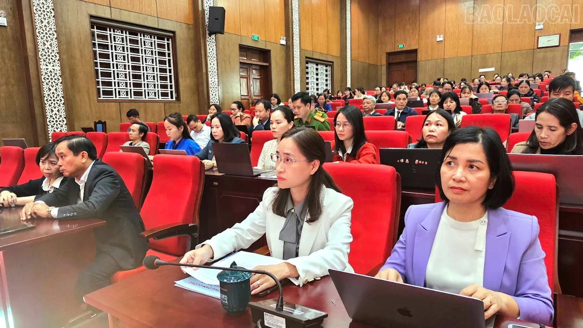 baolaocai-tr_11-3-cam3.jpg
