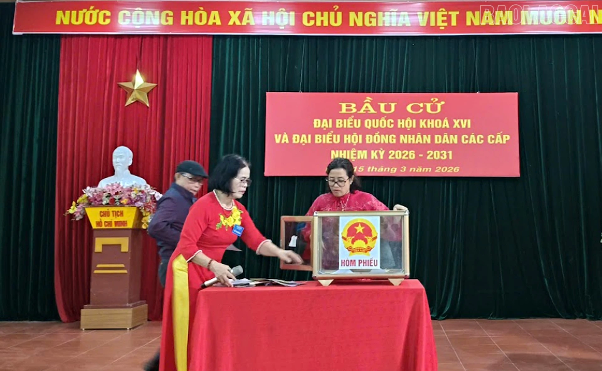 baolaocai-tr_12.jpg