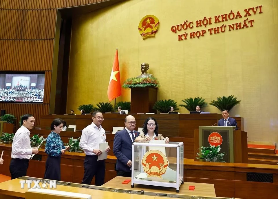 Đại biểu Quốc hội bỏ phiếu phê chuẩn Thẩm phán Tòa án nhân dân Tối cao, Phó Thủ tướng Chính phủ, Bộ trưởng và thành viên khác của Chính phủ.