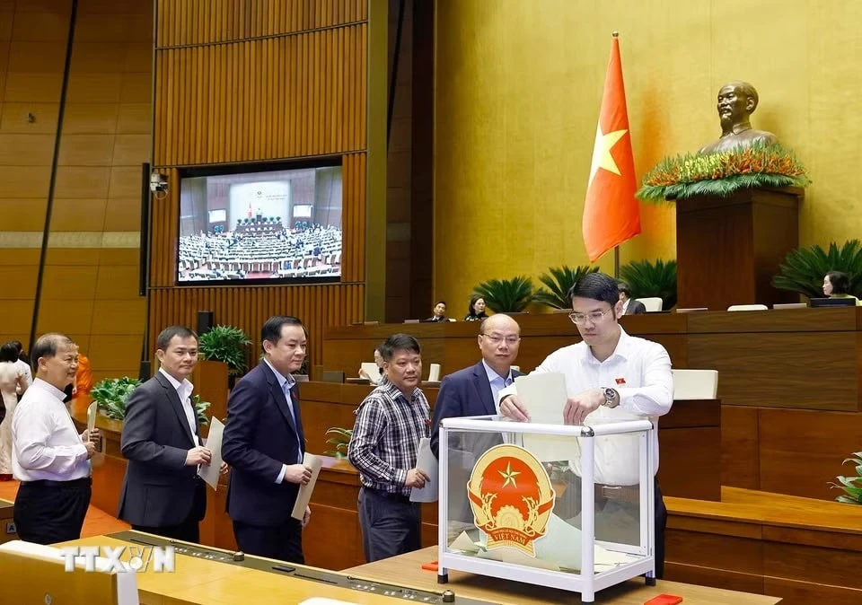 Đại biểu Quốc hội bỏ phiếu phê chuẩn Thẩm phán Tòa án nhân dân Tối cao, Phó Thủ tướng Chính phủ, Bộ trưởng và thành viên khác của Chính phủ.