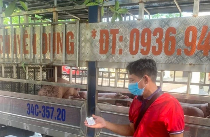 Công an xã Tam Dương Bắc (tỉnh Phú Thọ) phát hiện xe chở lợn nhiễm vi rút dịch tả lợn châu Phi - Ảnh: Công an tỉnh Phú Thọ