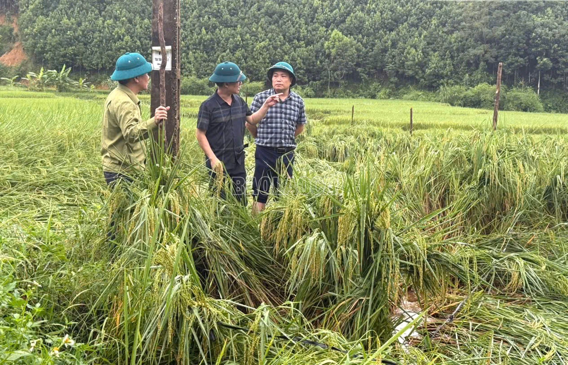 Lãnh đạo xã Xuân Hòa kiểm tra thực tế thiệt hại và chỉ đạo khắc phục sau bão.