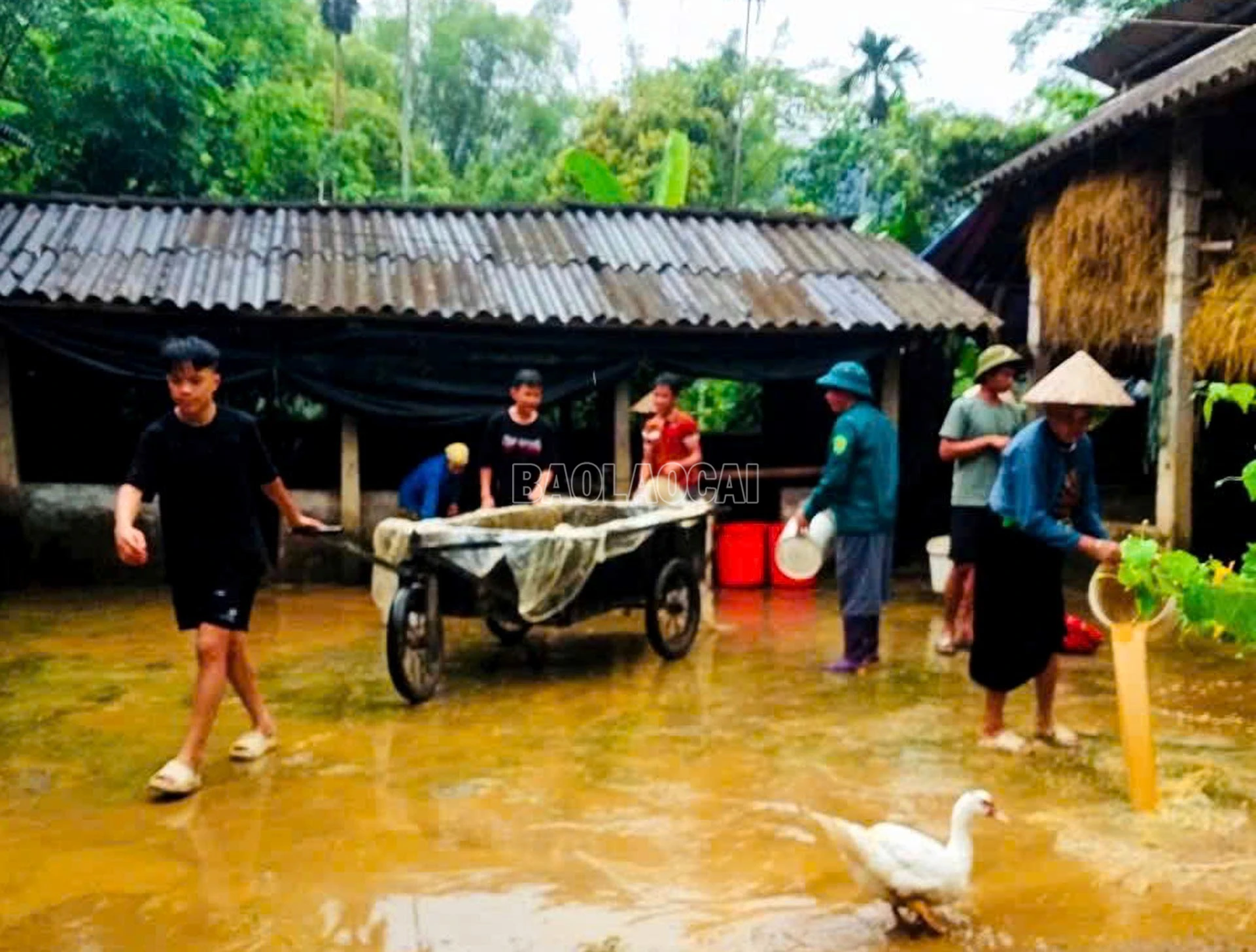 Công tác vệ sinh, khử trung được thực hiện ngay.