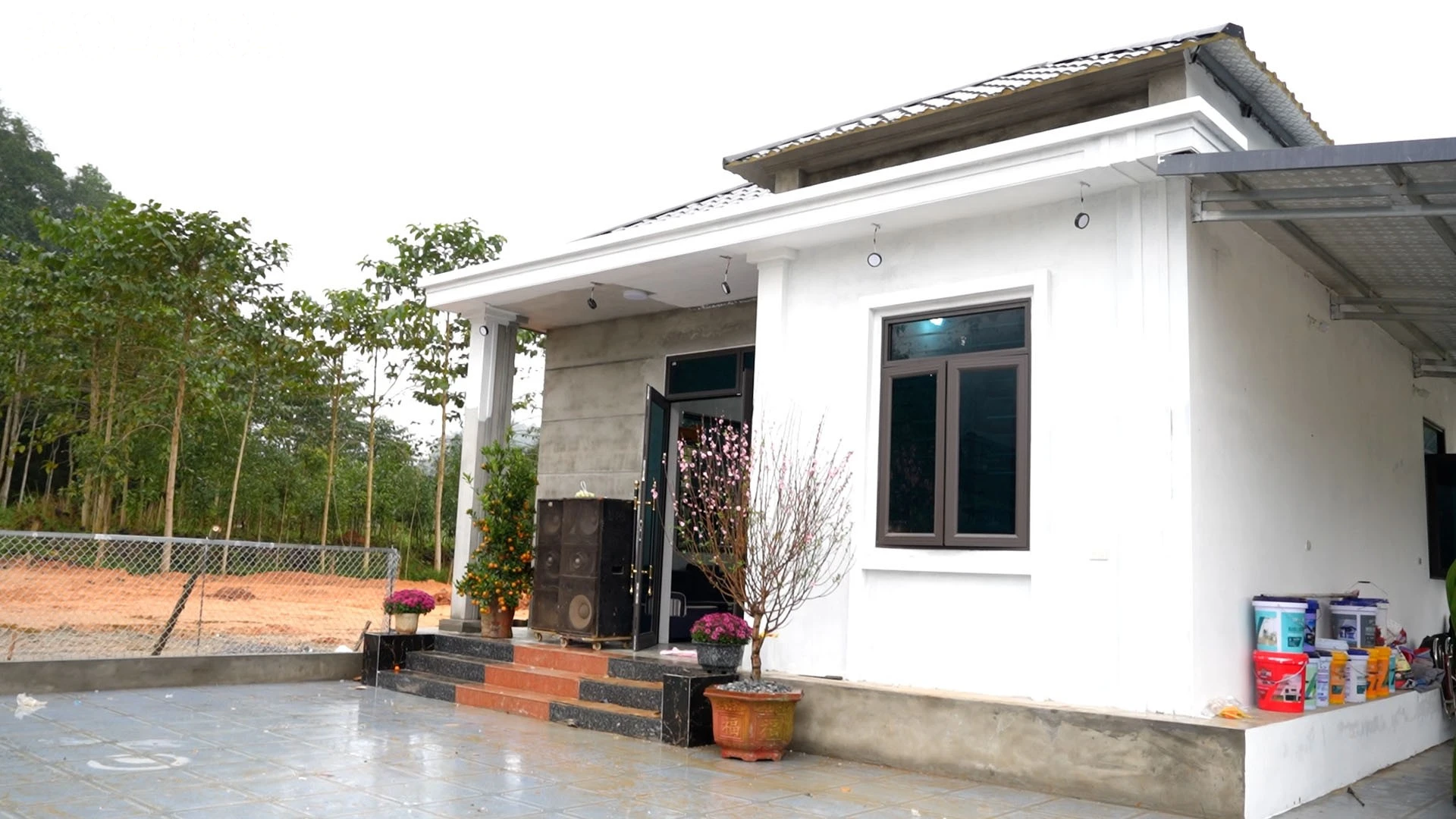 baolaocai-tl_anh-2.jpg