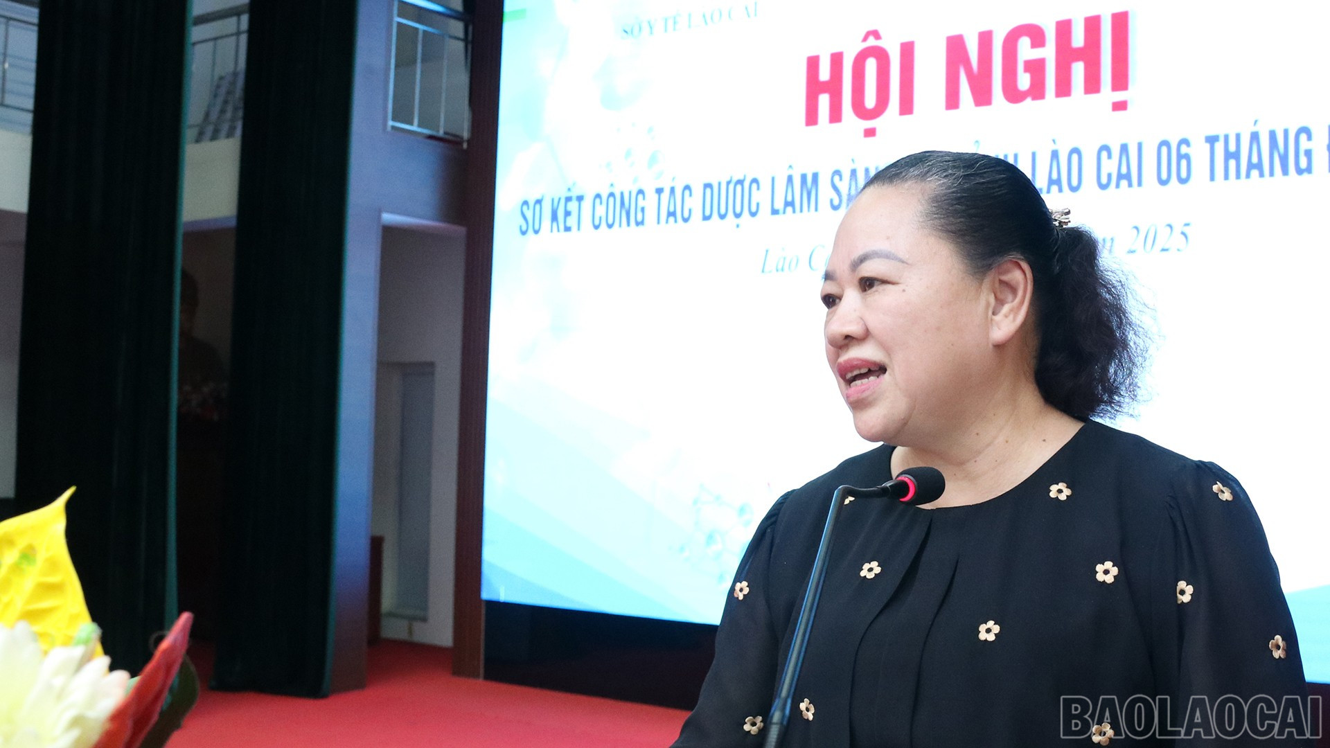 Bác sĩ CKII Phạm Bích Vân, Phó giám đốc Sở Y tế phát biểu tại Hội nghị. baolaocai-br_19-7-benhvien5.jpg