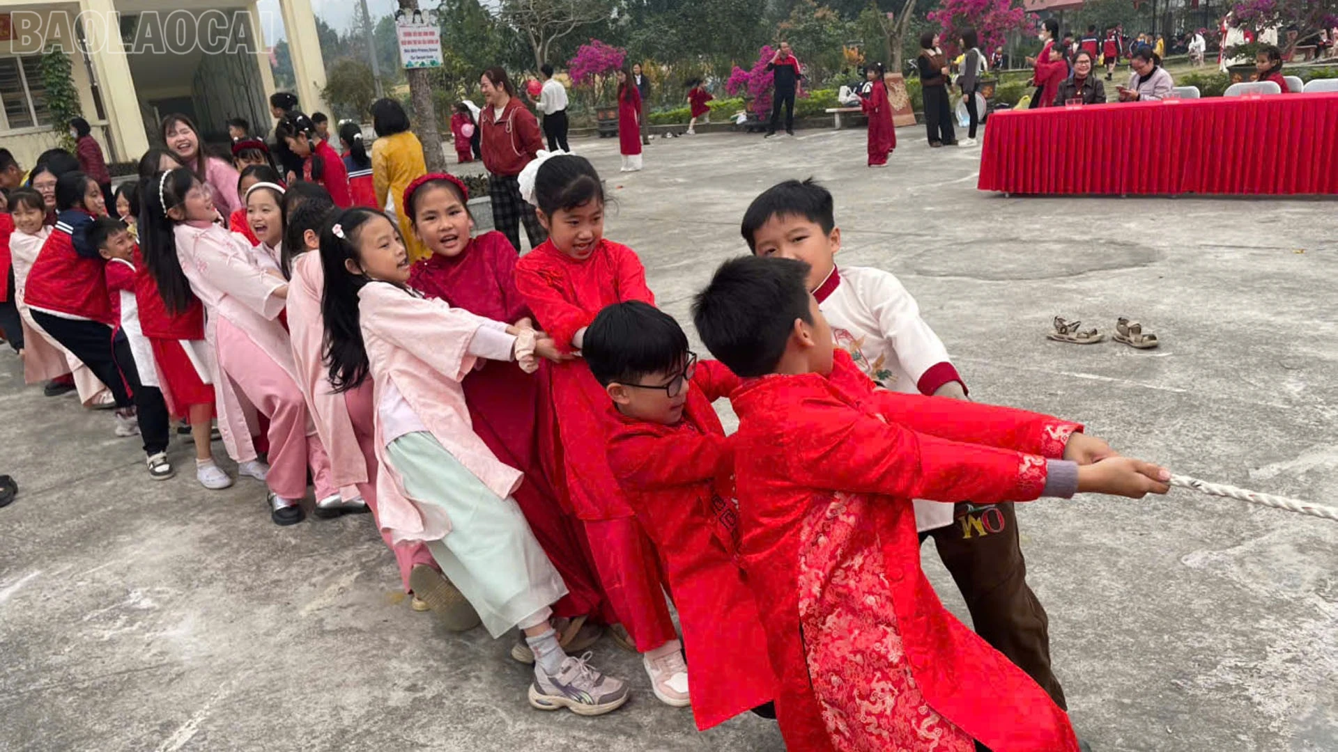 baolaocai-tl_anh6.jpg