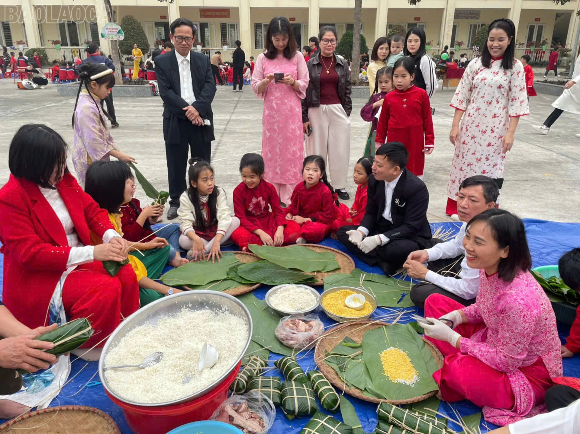 baolaocai-tl_anh3.jpg