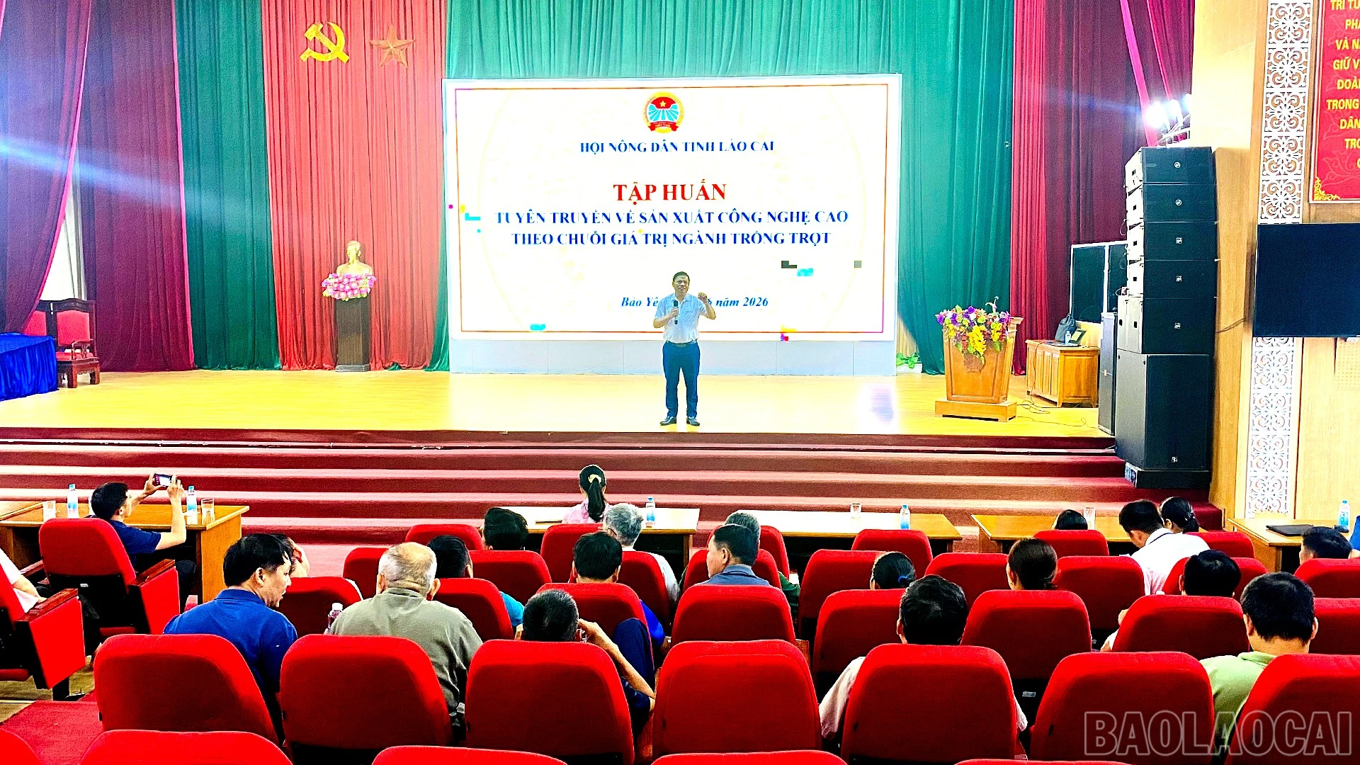 baolaocai-br_quang-canh.jpg