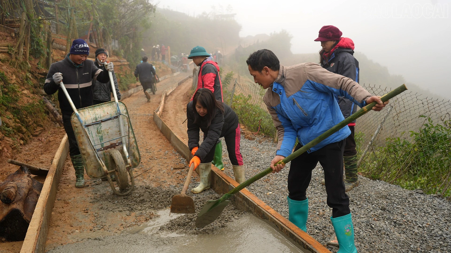 baolaocai-tr_dsc00026.jpg