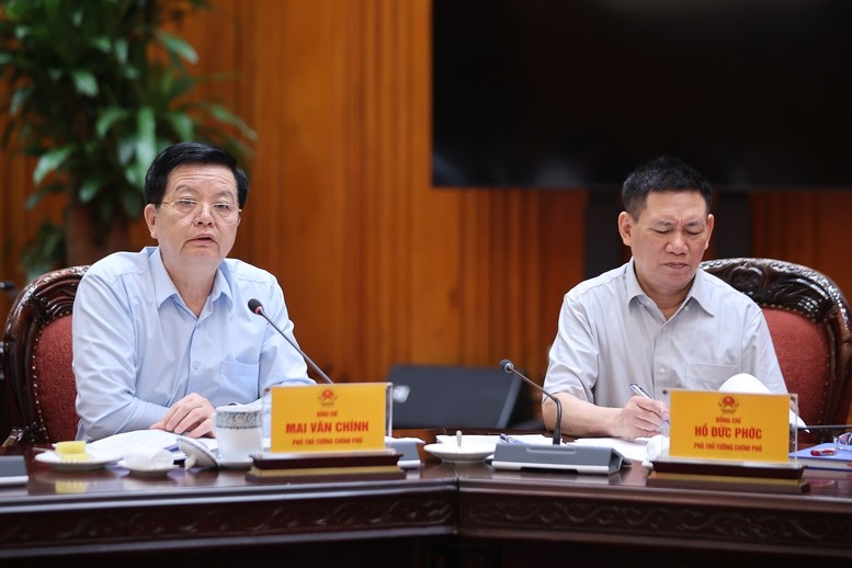 Các đồng chí Phó Thủ tướng Chính phủ tham dự cuộc họp.