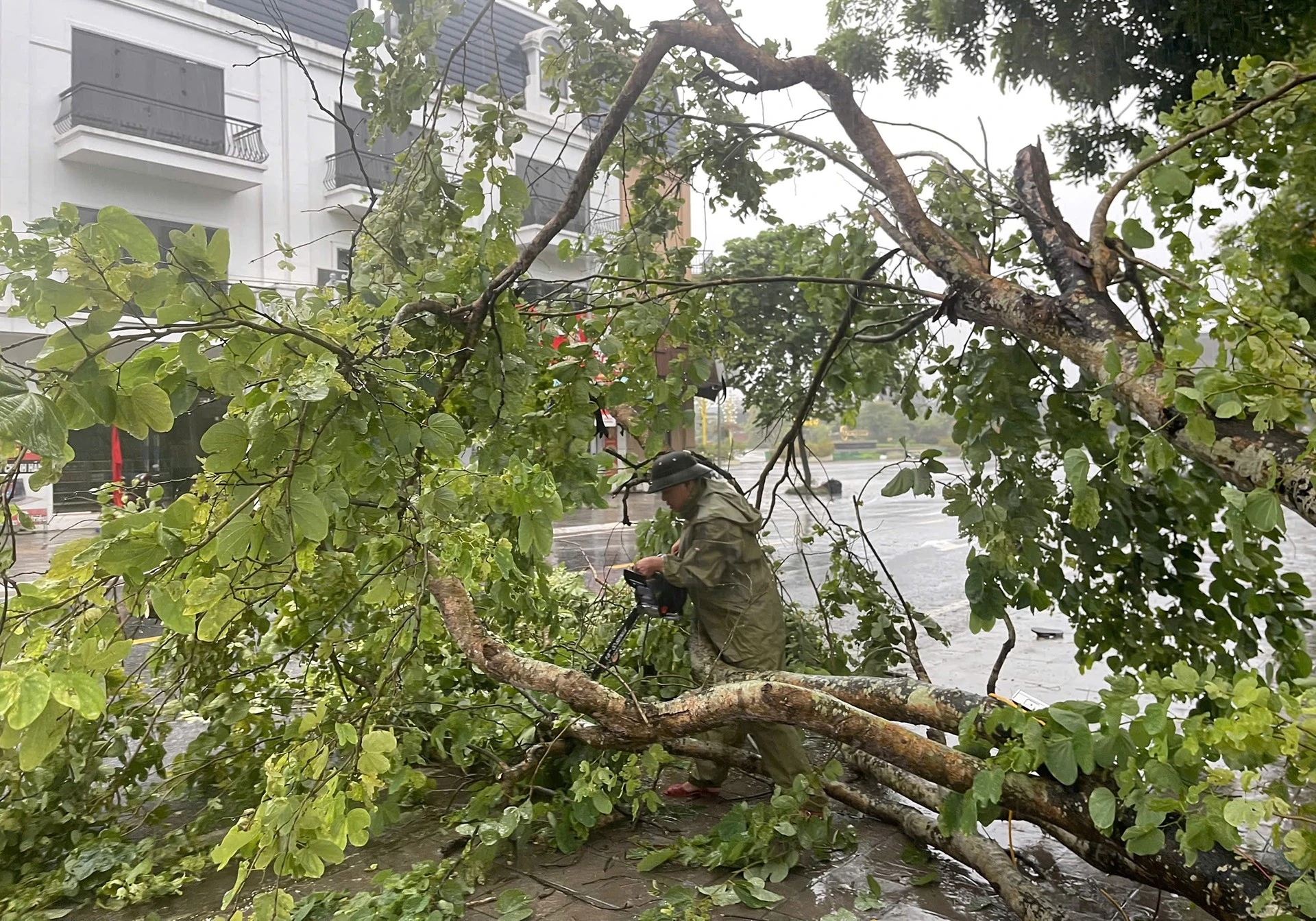 Lực lượng cứu hộ tại địa phương đang chặt bỏ cành cây gẫy đổ gây ách tắc giao thông.