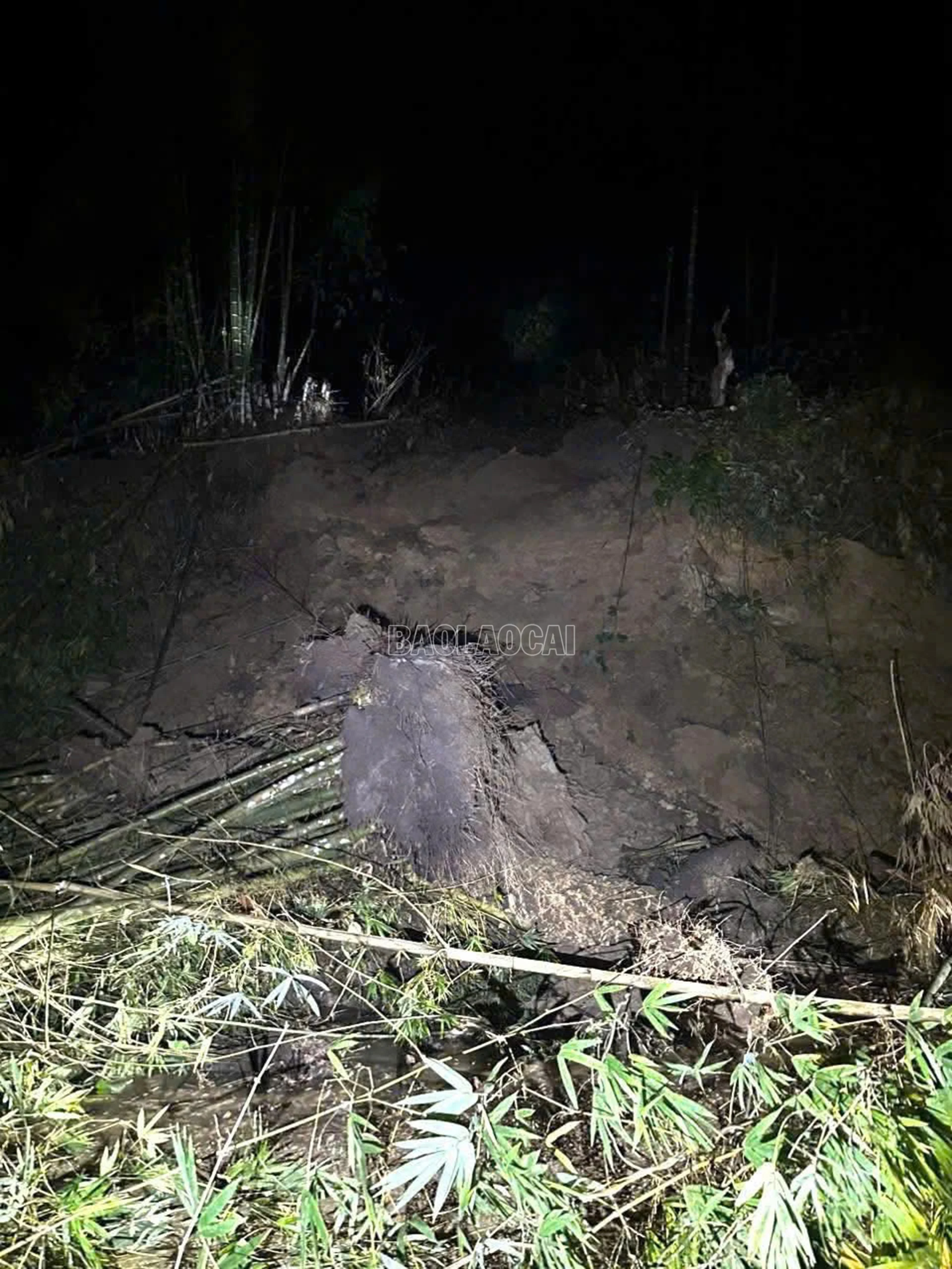 Lượng đất đá lớn cùng bụi tre và nhiều cây lớn sạt xuống đường gây tê liệt giao thông.