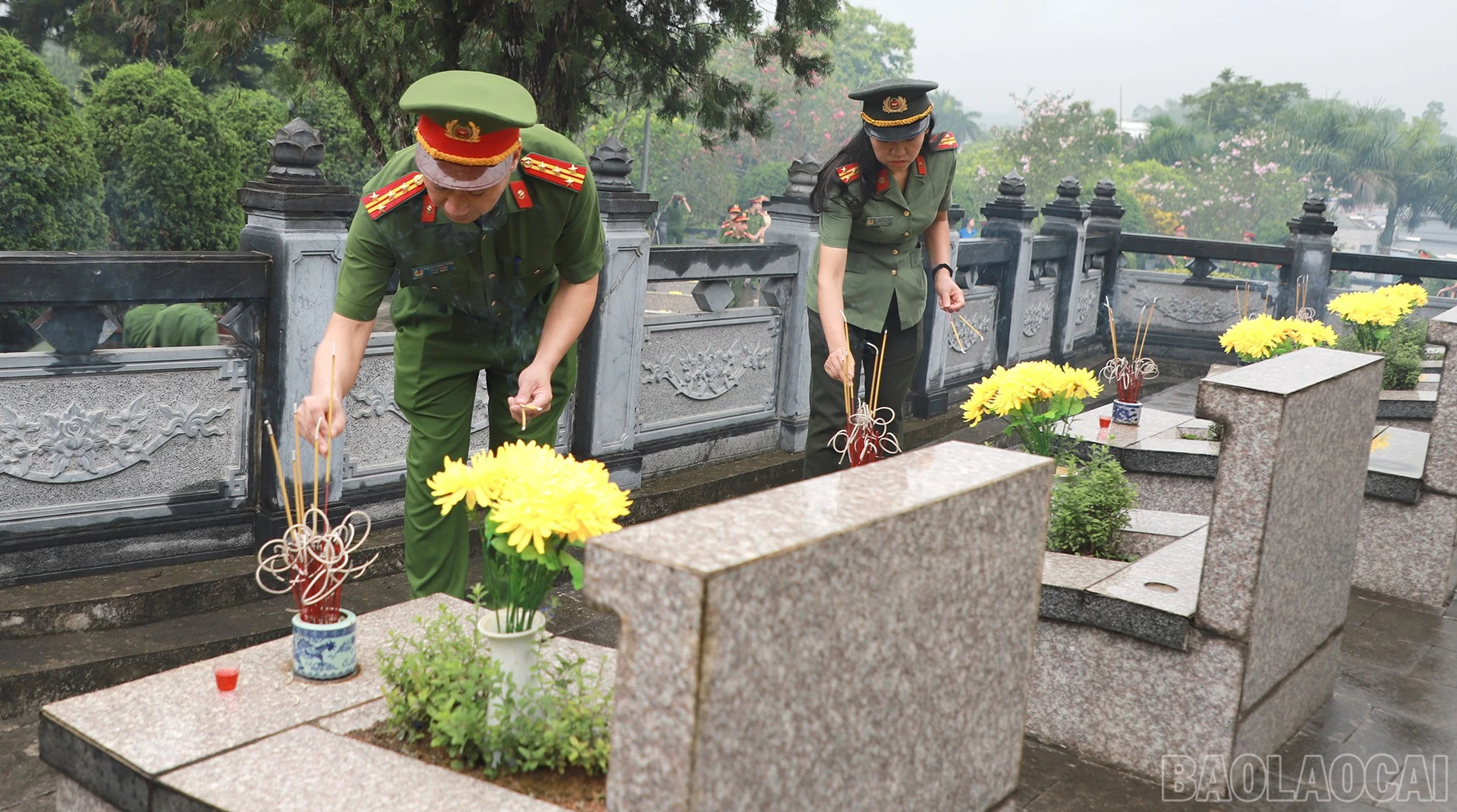 baolaocai-br_anh11.jpg