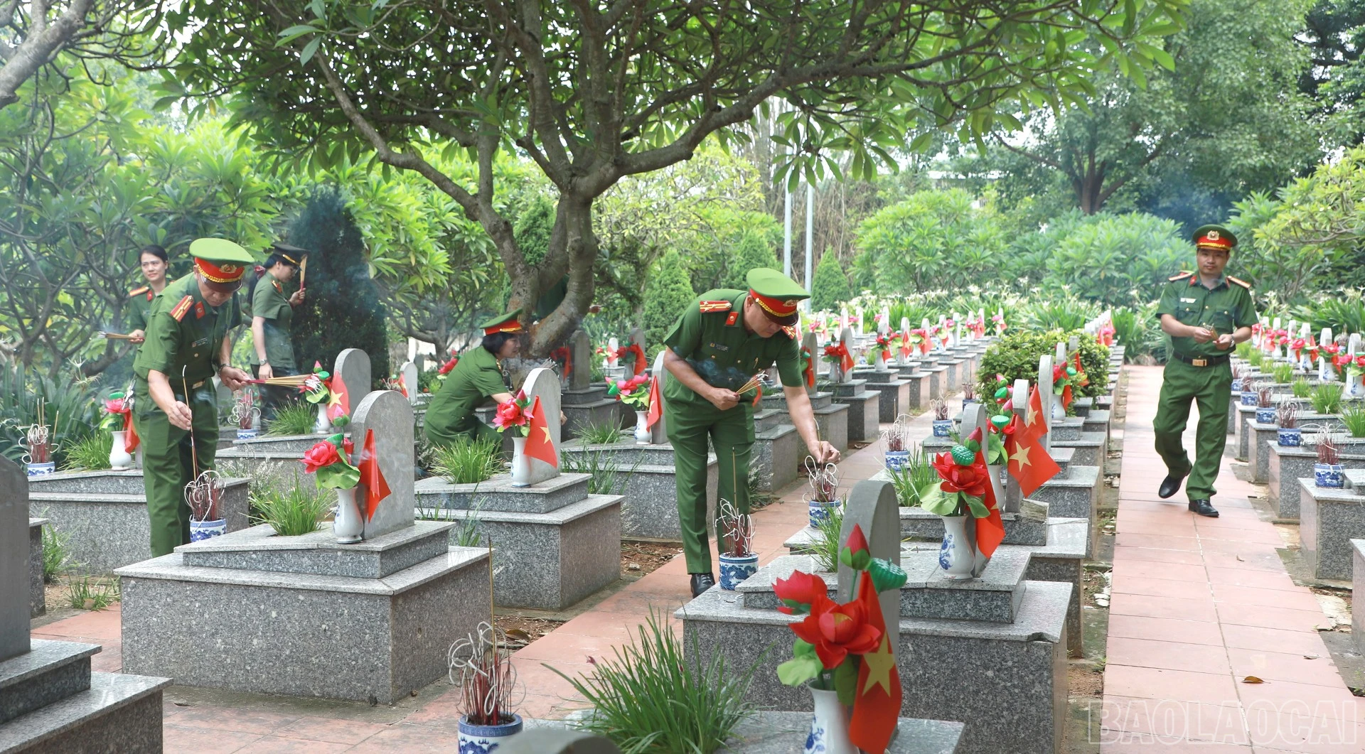 baolaocai-br_anh9.jpg