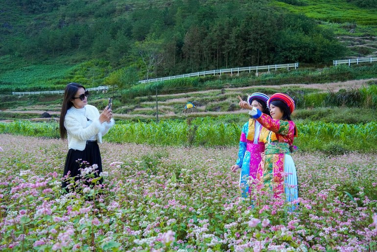 Trong những năm qua, tỉnh Tuyên Quang khai thác hiệu quả các giá trị Cao nguyên đá Đồng Văn để phát triển du lịch.
