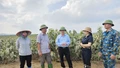 Đoàn công tác Cục Trồng trọt và Bảo vệ thực vật kiểm tra thiệt hại sau bão số 10 tại Lào Cai