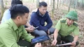 “Gỡ vướng” chi trả dịch vụ môi trường rừng cho hộ gia đình