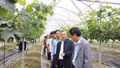 Thứ trưởng Bộ Nông nghiệp và Môi trường khảo sát vùng sản xuất nông nghiệp công nghệ cao tại Y Tý