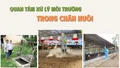 Quan tâm xử lý môi trường trong chăn nuôi