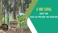 A Mú Sung quyết tâm nâng cao thu nhập cho người dân