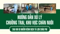 Hướng dẫn xử lý chuồng trại, khu vực chăn nuôi sau khi bị nhiễm bệnh dịch tả lợn châu Phi