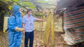 Lào Cai chủ động khoanh vùng, ngăn dịch lở mồm long móng trên đàn gia súc
