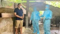 Quyết liệt ngăn chặn dịch tả lợn châu Phi