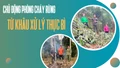 Chủ động phòng cháy rừng từ khâu xử lý thực bì