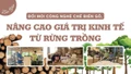 Bảo Yên đổi mới công nghệ chế biến gỗ, nâng cao giá trị kinh tế từ rừng trồng
