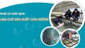 Nuôi cá nước lạnh: Làm chủ sản xuất con giống