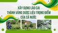 Xây dựng Lào Cai thành vùng dược liệu trọng điểm của cả nước