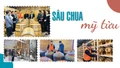 Sâu Chua mỹ tửu