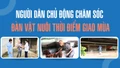 Người dân chủ động chăm sóc đàn vật nuôi thời điểm giao mùa