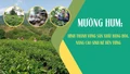 Mường Hum: Hình thành vùng sản xuất hàng hóa, nâng cao sinh kế bền vững