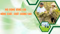 Mở rộng vùng lúa năng suất, chất lượng cao