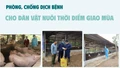 Phòng, chống dịch bệnh cho đàn vật nuôi thời điểm giao mùa