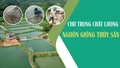 Chú trọng chất lượng nguồn giống thủy sản