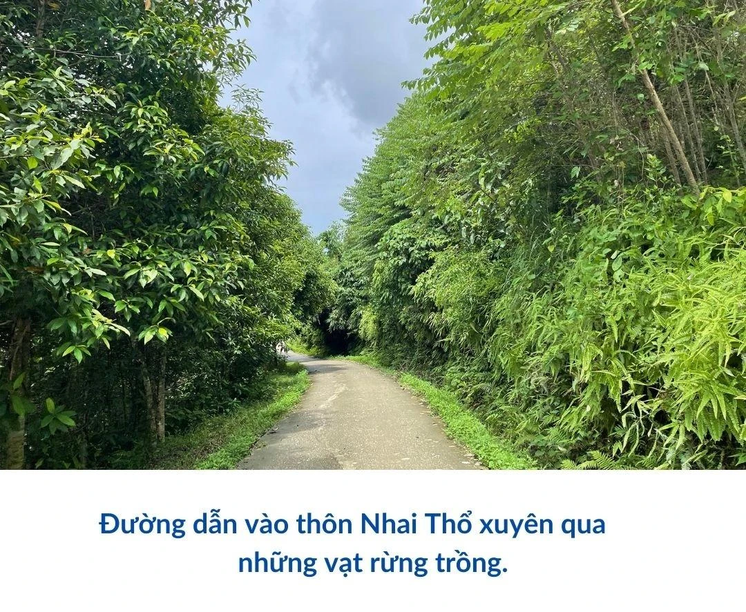 Đánh thức Nhai Thổ.zip - 2.jpeg