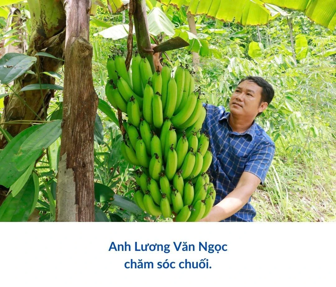 Đánh thức Nhai Thổ.zip - 9.jpeg