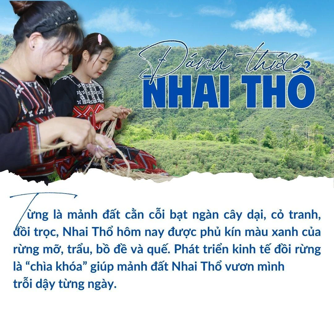 Đánh thức Nhai Thổ.zip - 1.jpeg