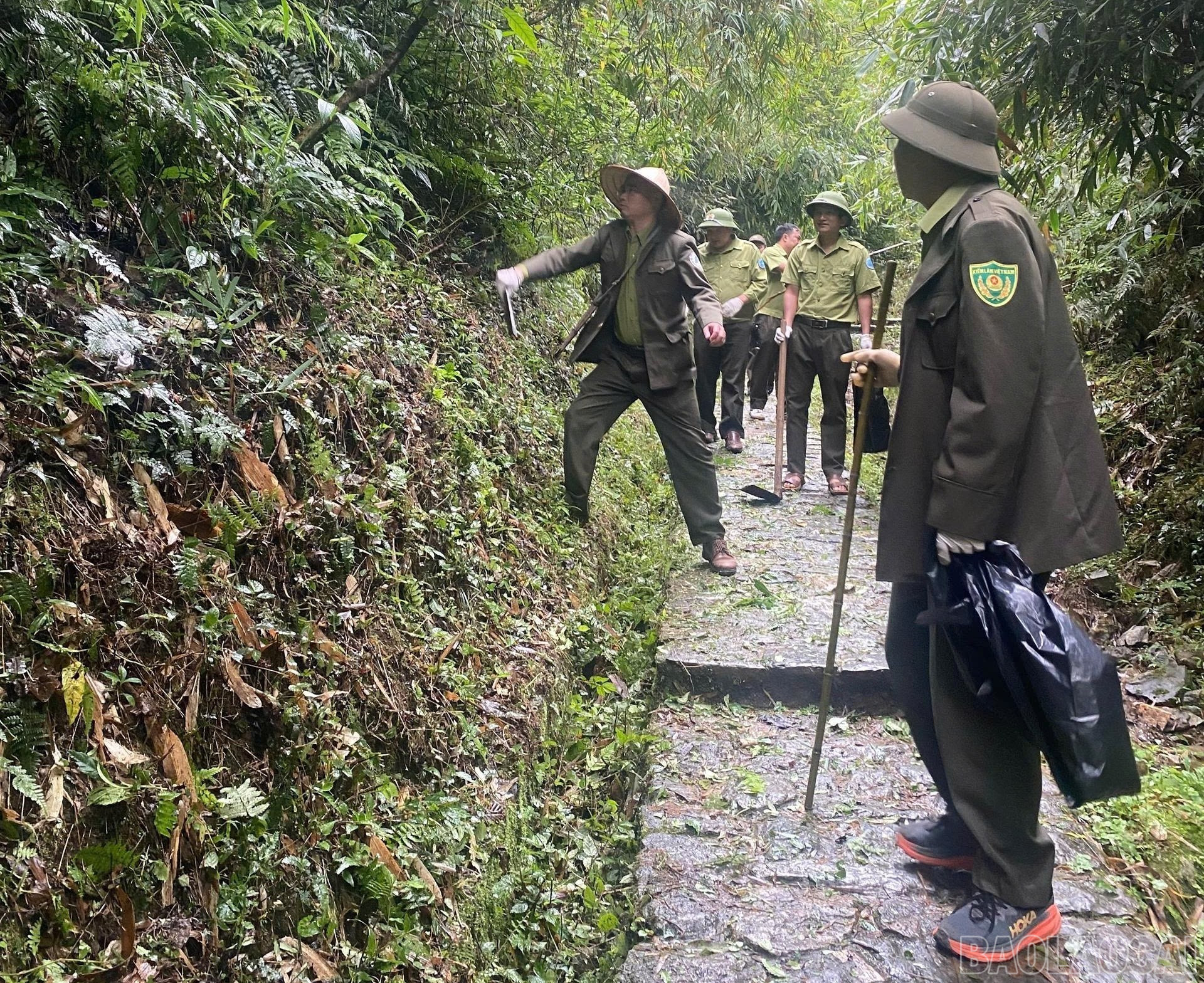 Phát quang lối đi. baolaocai-br_6.jpg
