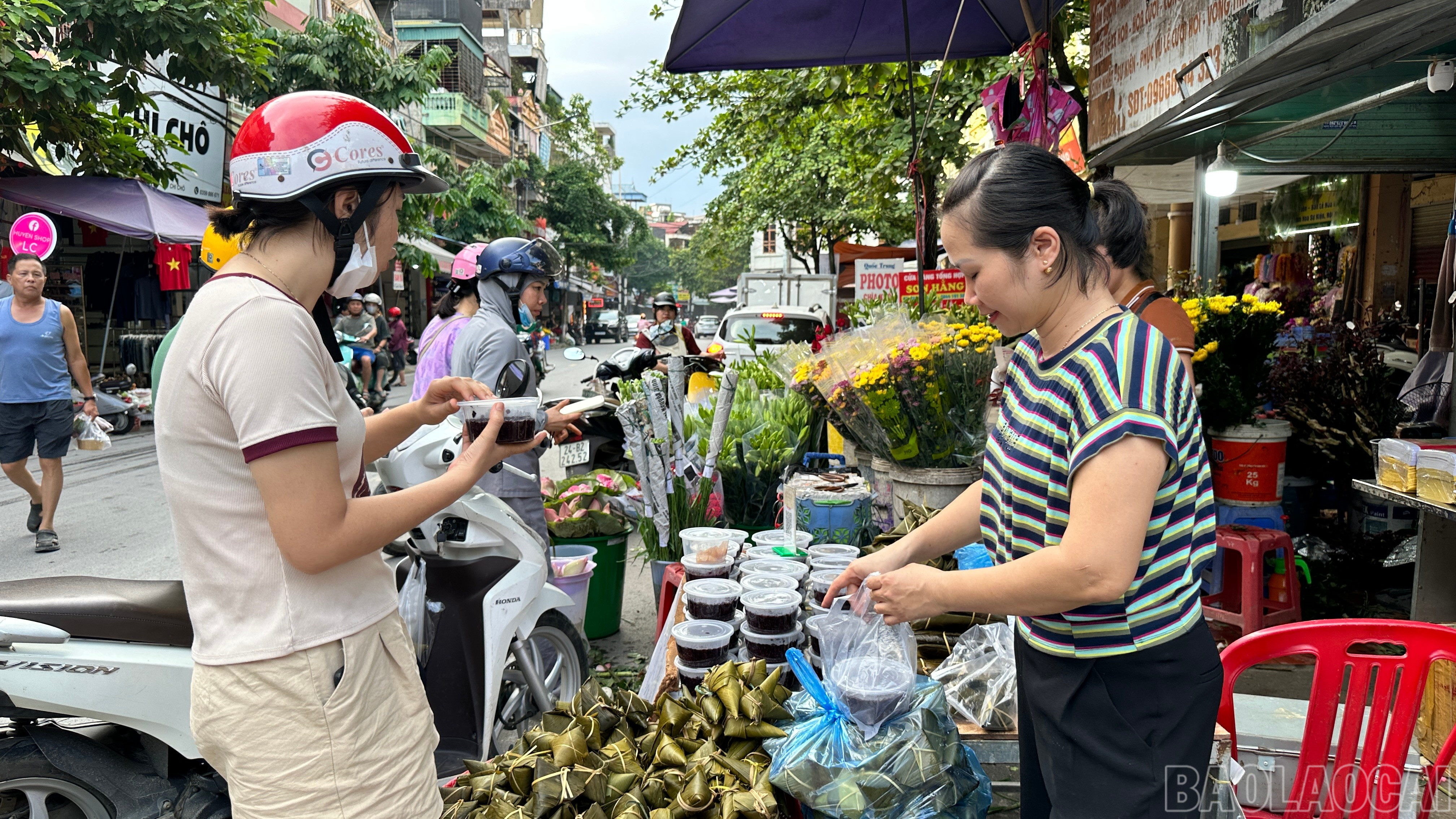 baolaocai-br_1-9.jpg