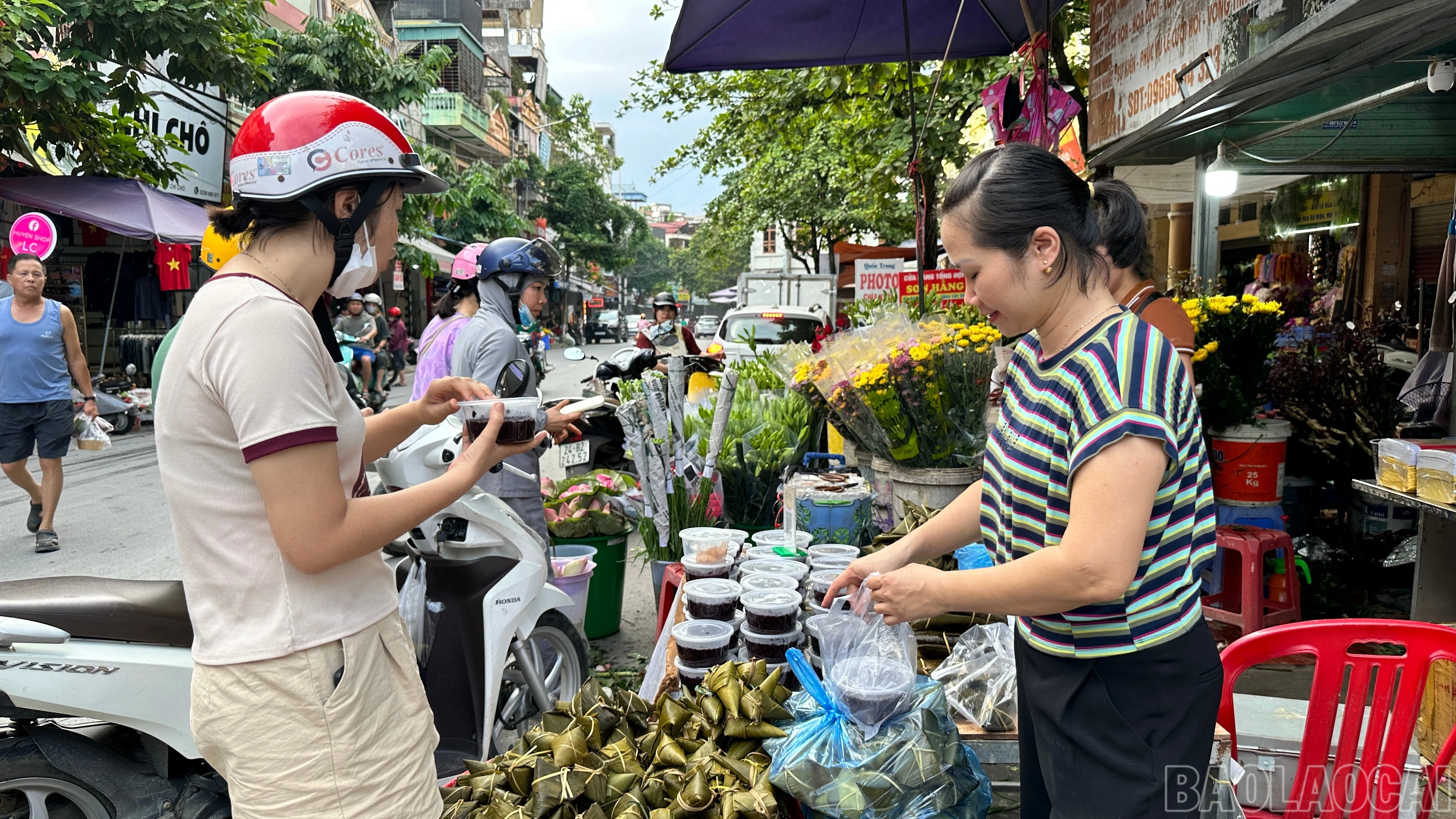 baolaocai-br_1-9.jpg