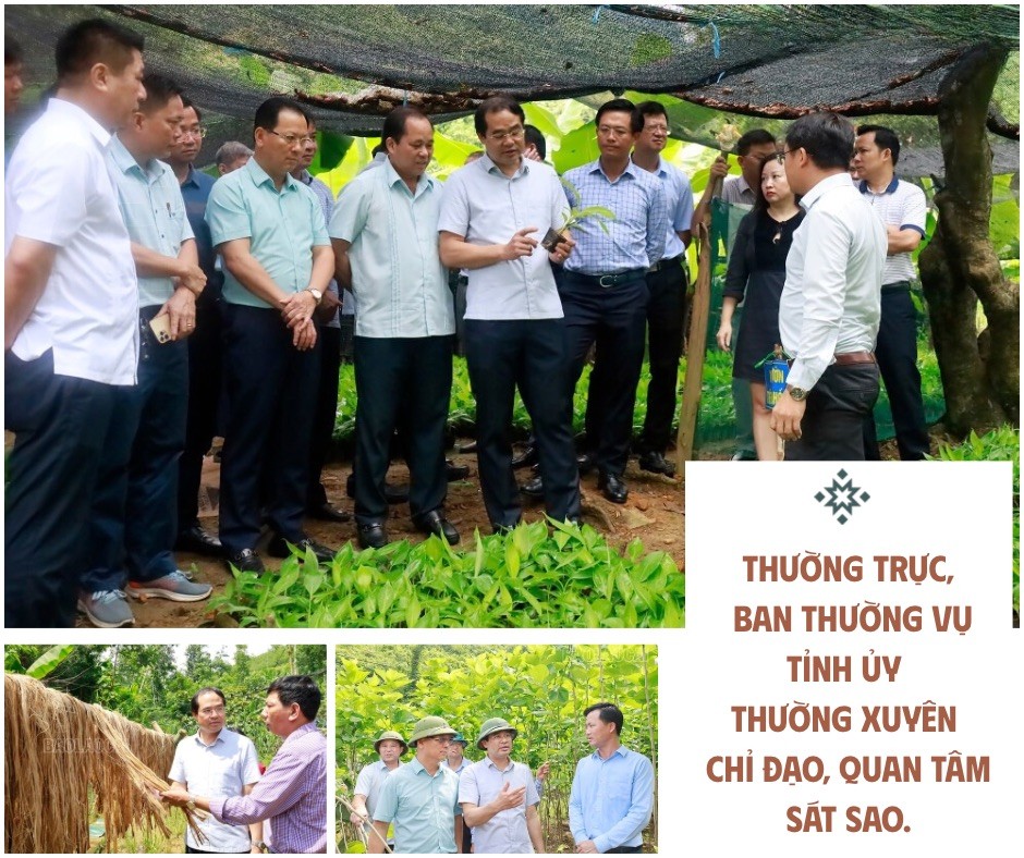 them-tieu-de.jpg