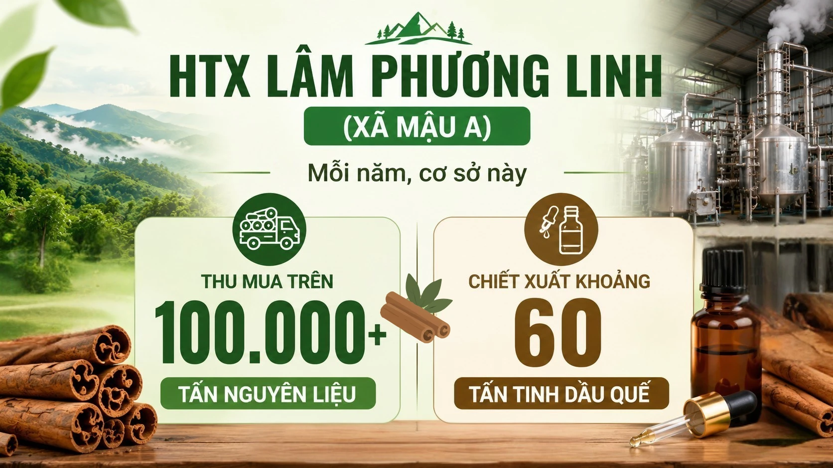 thiet-ke-chua-co-ten4.png