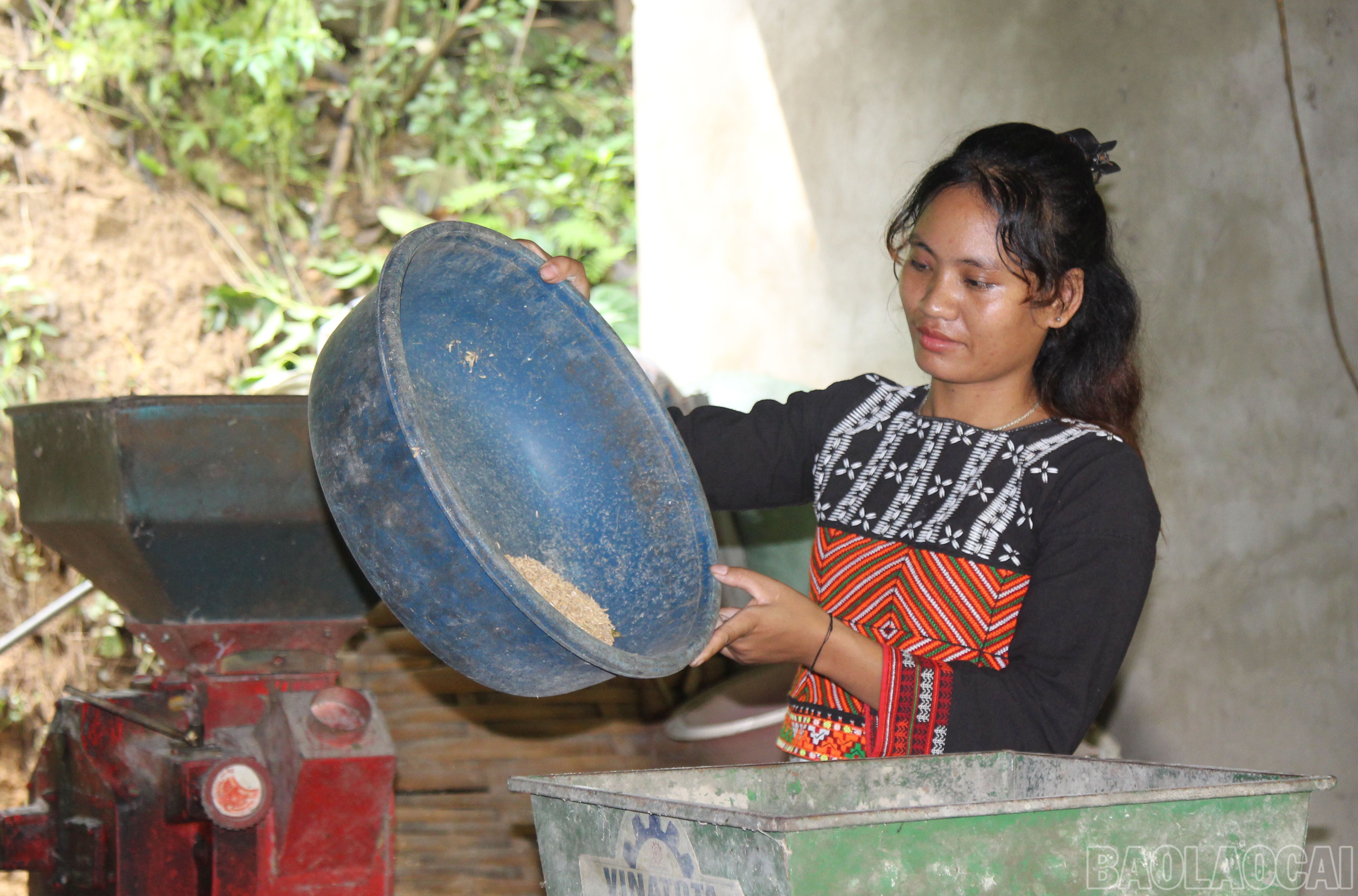 Hội Phụ nữ coi hỗ trợ phát triển kinh tế cho chị em là nhiệm vụ trọng tâm. Nhờ đó, nhiều hội viên mạnh dạn vay vốn, chuyển đổi sản xuất, từ canh tác lúa đơn thuần sang chăn nuôi, mở cửa hàng, dịch vụ. Trong ảnh: Chị Châu Thị Sơn (27 tuổi) đã đầu tư máy xay xát từ năm 2021, giúp gia đình có nguồn thu nhập ổn định hơn. baolaocai-br_4-3364.jpg