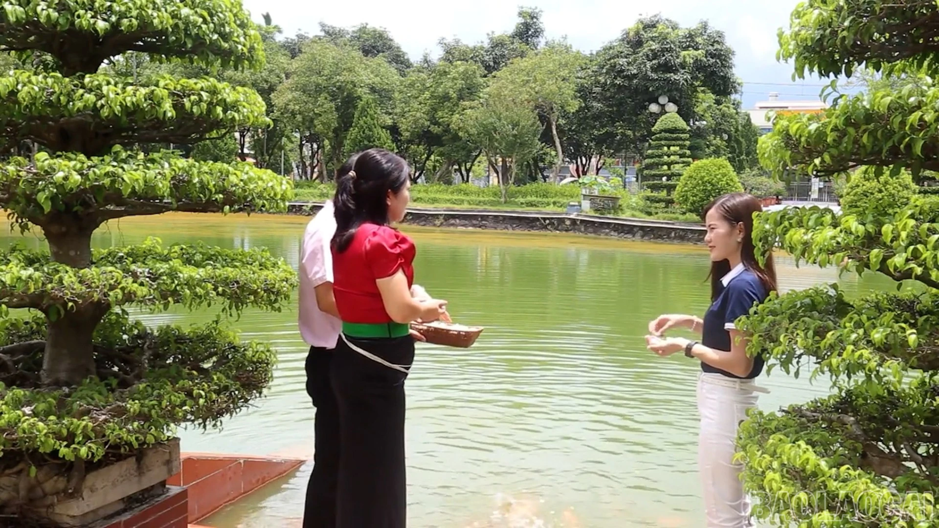 Ao cá Bác Hồ.