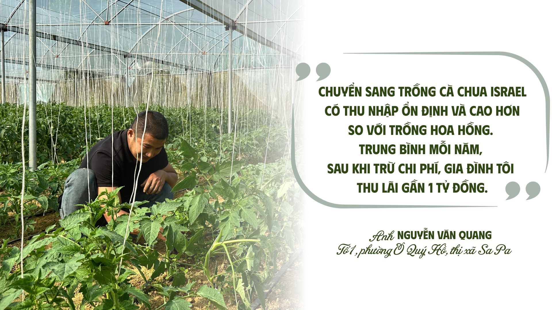 ការចែករំលែក-the-key-to-get-rich-of-farmers-in-quy-ho.jpg