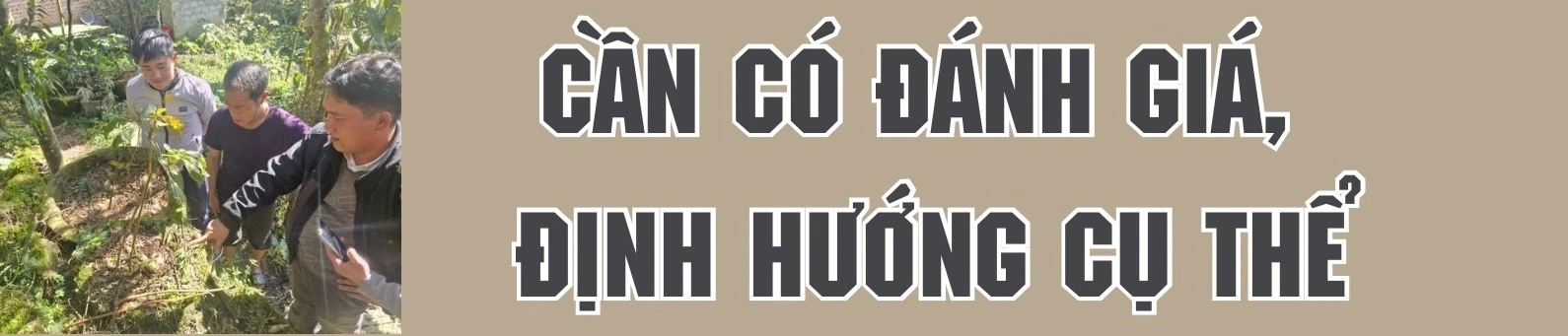 trong-sam-tren-dinh-may-ngan-3-6088.jpg