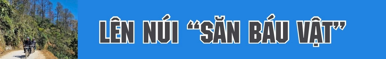 trong-sam-tren-dinh-may-ngan.jpg